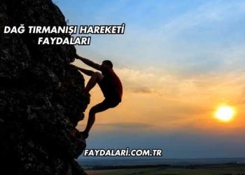 Dağ Tırmanışı Hareketi Faydaları
