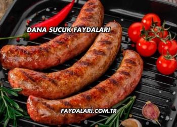 Dana Sucuk Faydaları