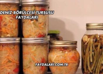 Deniz Börülcesi Turşusu Faydaları