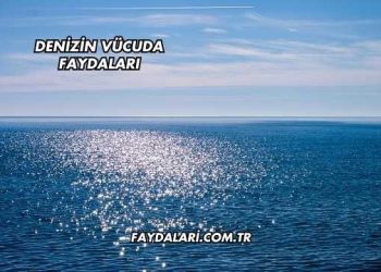 Denizin Vücuda Faydaları