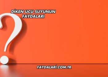 Diken Ucu Suyunun Faydaları