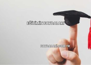 Eğitimin Faydaları