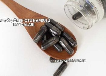 Ersağ Çörek Otu Kapsülü Faydaları