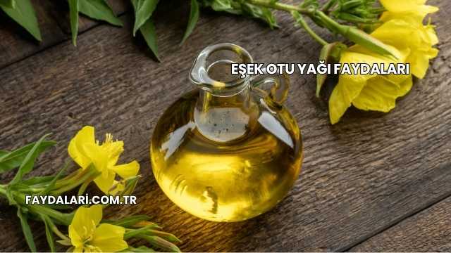 Eşek Otu Yağı Faydaları