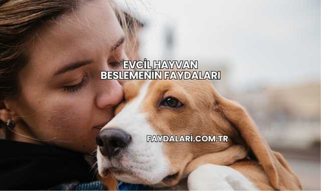 Evcil Hayvan Beslemenin Faydaları