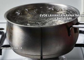 Evde Lavanta Kaynatmanın Faydaları