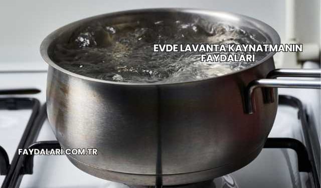 Evde Lavanta Kaynatmanın Faydaları