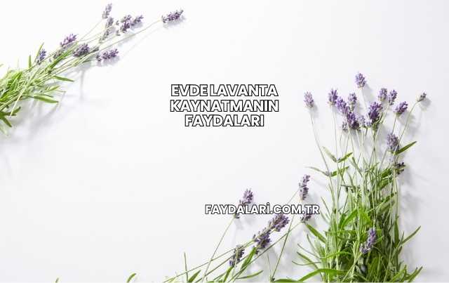 Evde Lavanta Kaynatmanın Faydaları