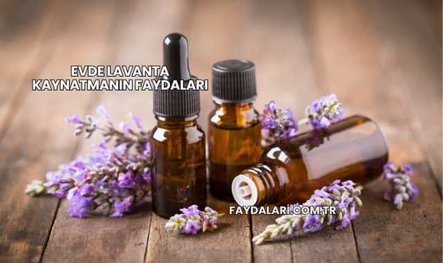Evde Lavanta Kaynatmanın Faydaları