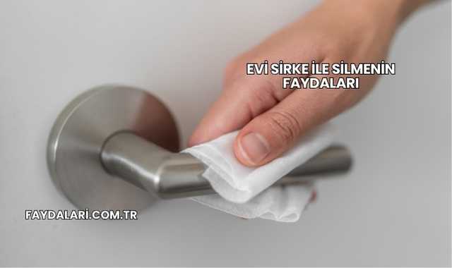 Evi Sirke İle Silmenin Faydaları