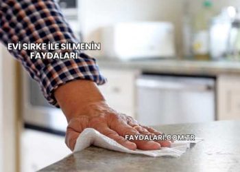 Evi Sirke İle Silmenin Faydaları