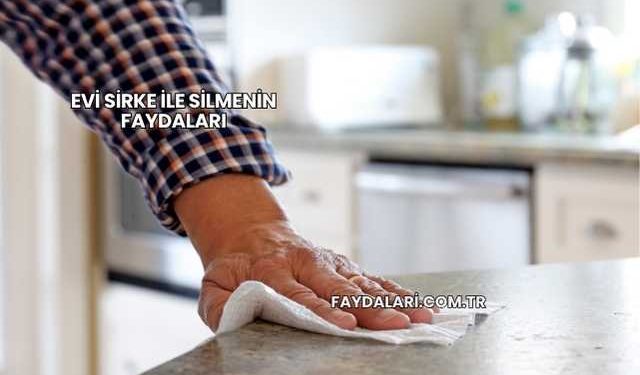 Evi Sirke İle Silmenin Faydaları