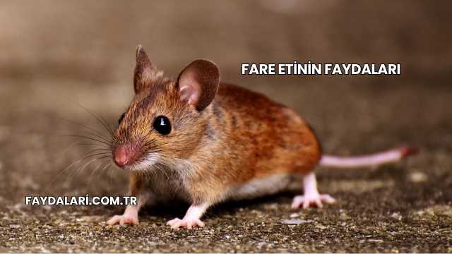 Fare Etinin Faydaları