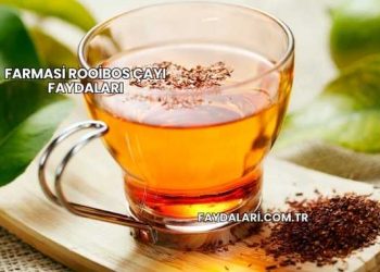Farmasi Rooibos Çayı Faydaları