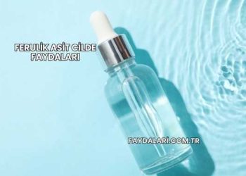 Ferulik Asit Cilde Faydaları