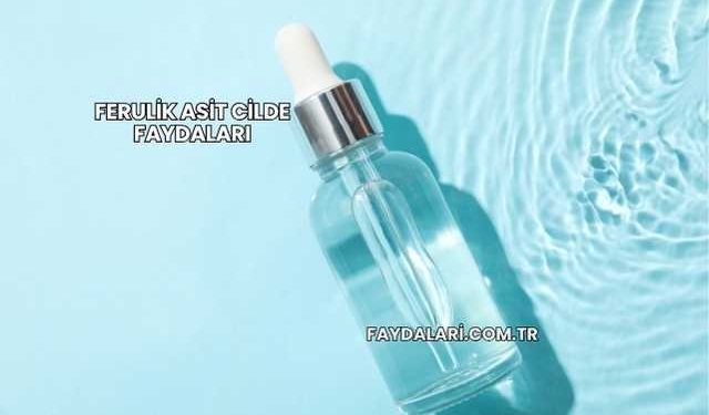 Ferulik Asit Cilde Faydaları