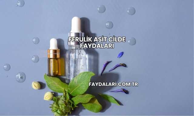 Ferulik Asit Cilde Faydaları