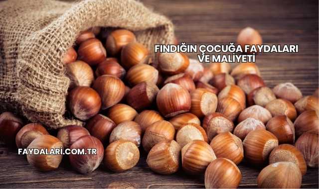 Fındığın Çocuğa Faydaları ve Maliyeti