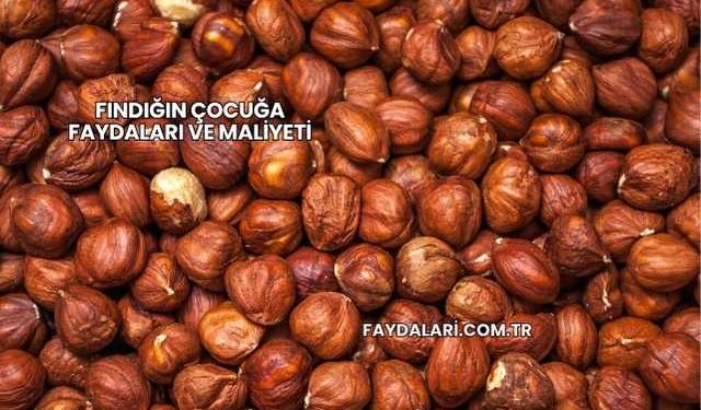 Fındığın Çocuğa Faydaları ve Maliyeti
