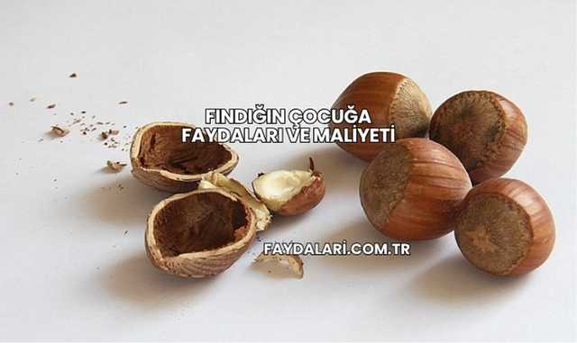 Fındığın Çocuğa Faydaları ve Maliyeti