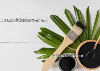 Fitline Activize Faydaları