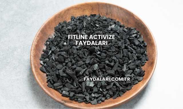 Fitline Activize Faydaları