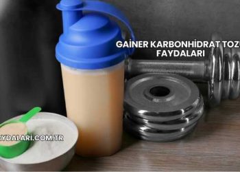 Gainer Karbonhidrat Tozu Faydaları