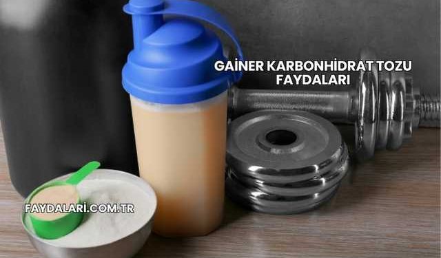 Gainer Karbonhidrat Tozu Faydaları