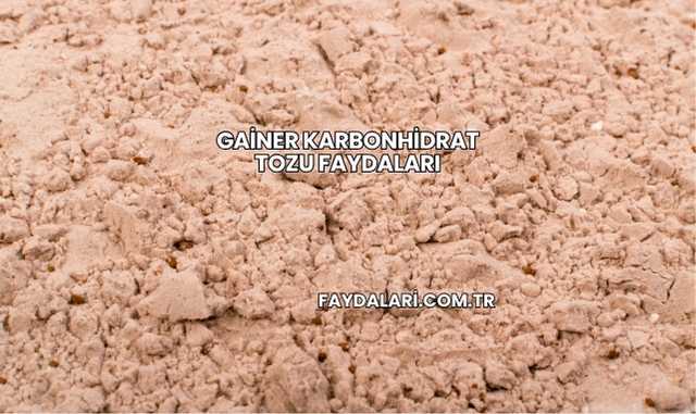 Gainer Karbonhidrat Tozu Faydaları