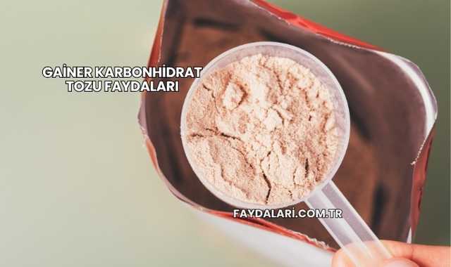 Gainer Karbonhidrat Tozu Faydaları