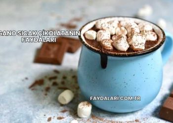 Gano Sıcak Çikolatanın Faydaları
