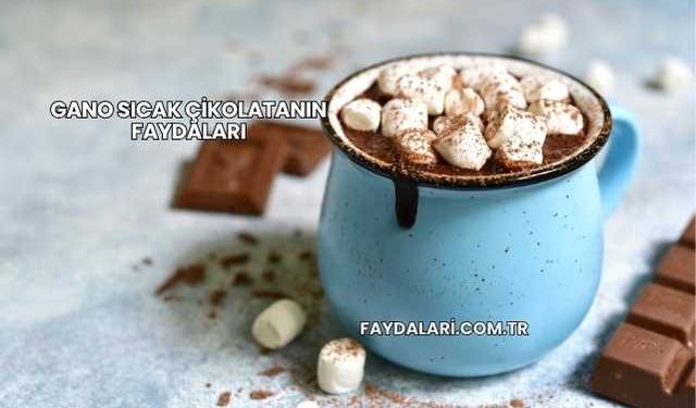 Gano Sıcak Çikolatanın Faydaları