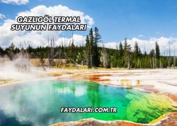 Gazlıgöl Termal Suyunun Faydaları