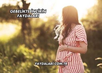 Gebelikte İncirin Faydaları