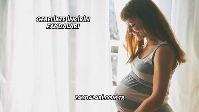 Gebelikte İncirin Faydaları