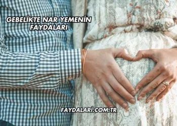 Gebelikte Nar Yemenin Faydaları
