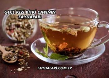 Gece Kızı Bitki Çayının Faydaları
