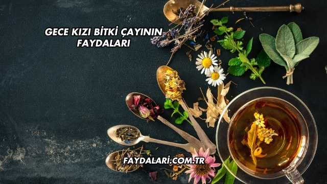 Gece Kızı Bitki Çayının Faydaları