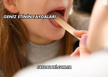 Geniz Etinin Faydaları
