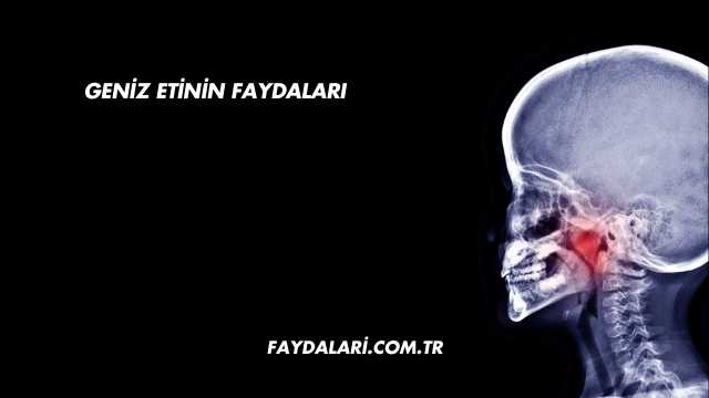 Geniz Etinin Faydaları