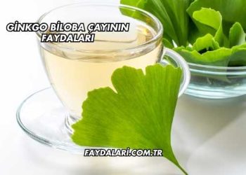 Ginkgo Biloba Çayının Faydaları