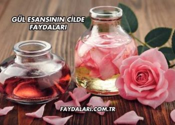 Gül Esansının Cilde Faydaları