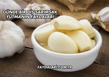 Günde Bir Diş Sarımsak Yutmanın Faydaları