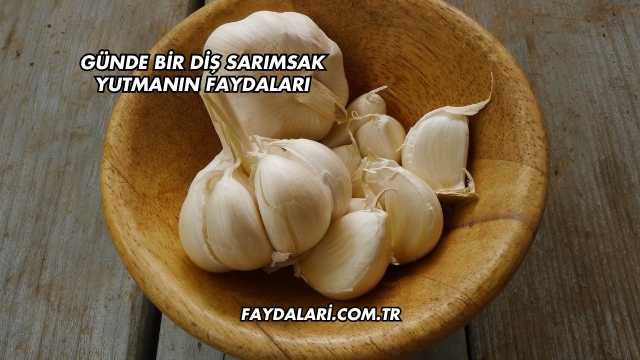 Günde Bir Diş Sarımsak Yutmanın Faydaları