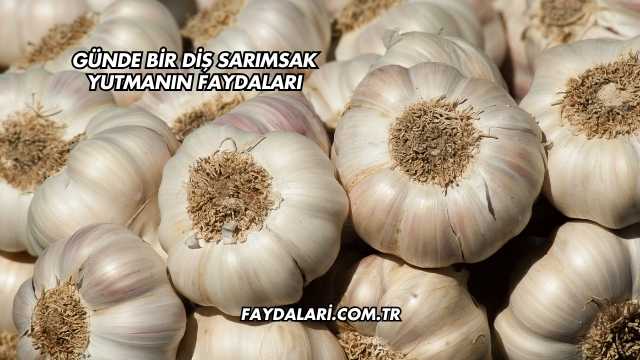 Günde Bir Diş Sarımsak Yutmanın Faydaları
