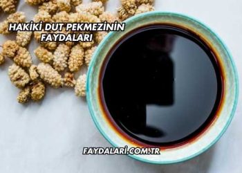 Hakiki Dut Pekmezinin Faydaları