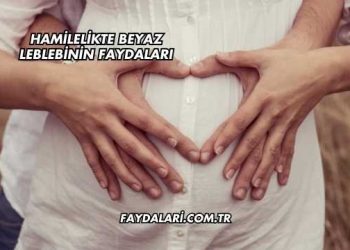 Hamilelikte Beyaz Leblebinin Faydaları