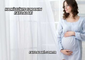 Hamilelikte Elmanın Faydaları