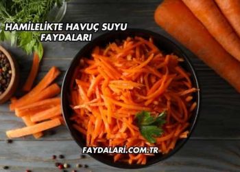 Hamilelikte Havuç Suyu Faydaları