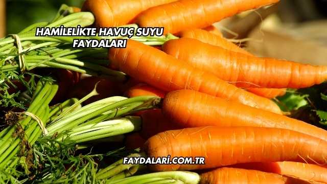 Hamilelikte Havuç Suyu Faydaları